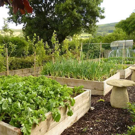 Silvermines Self Catering *